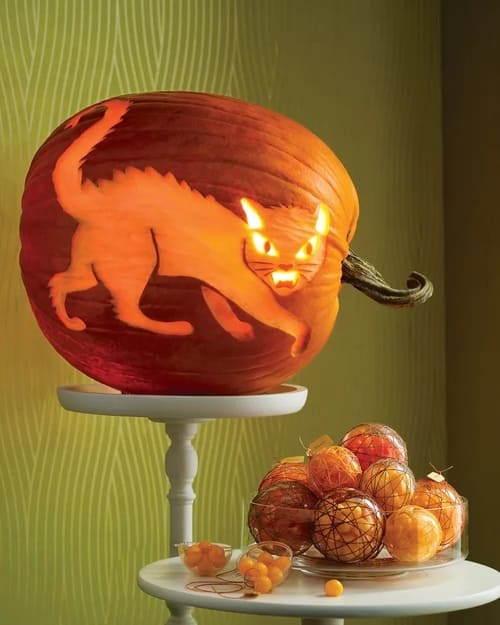 Host a Pumpkin Carving Contest