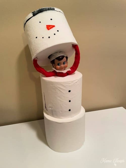Elf on the Shelf Builds a Toilet Paper Snowman