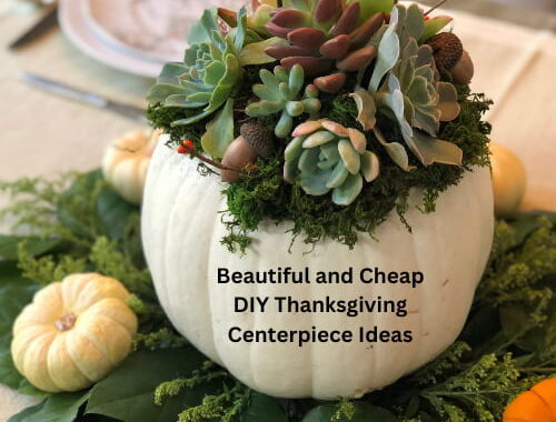 Beautiful and Cheap DIY Thanksgiving Centerpiece Ideas