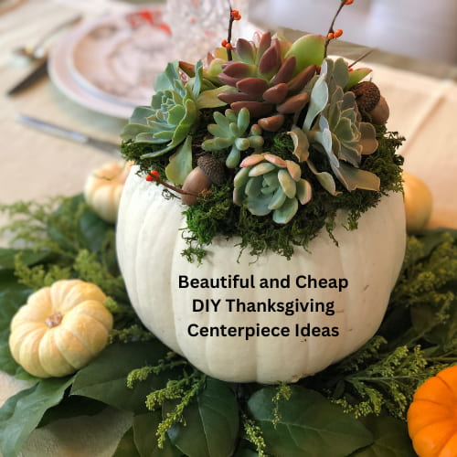 Discover Tons of DIY Thanksgiving centerpiece ideas and transform your holiday table with creations, suitable for every style and budget.