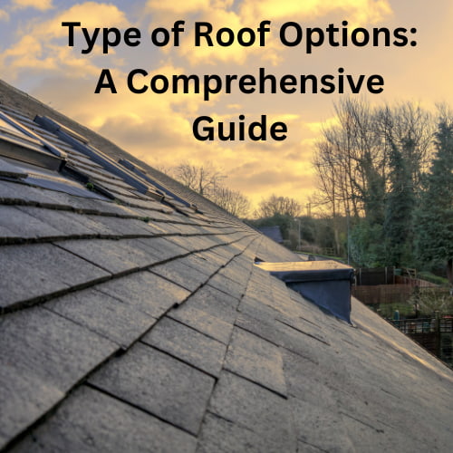 Explore the various type of roof options for your home or building project. Learn about each roofing type to make an informed decision.