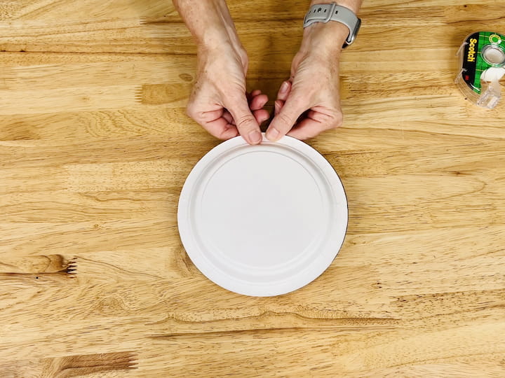 Secure the other plate on top and tape it closed.