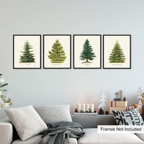 4 Pine Tree Prints No Frames