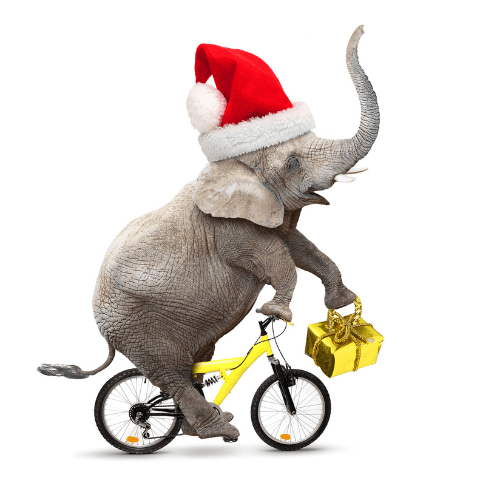 What is a good white elephant gift for adults?