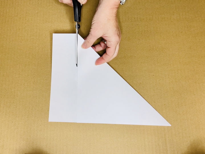Fold Diagonally: Take a regular sheet of printer white paper. Fold the paper diagonally across to form a paper triangle.
