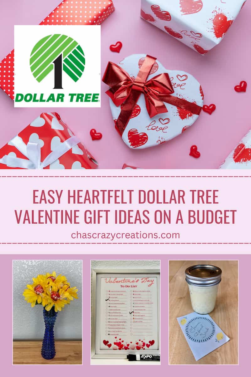 Dollar Tree Valentine Gift Ideas: from charming DIYs to festive finds, find affordable tokens of affection for your special someone.