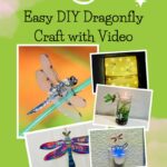 Transform your space with our step-by-step guide to creating a dragonfly craft! Learn easy techniques, materials needed, and unleash your creativity today.