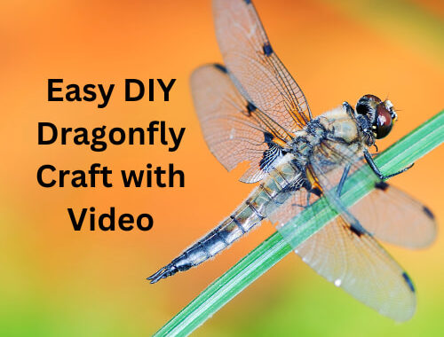 Easy DIY Dragonfly Craft with Video