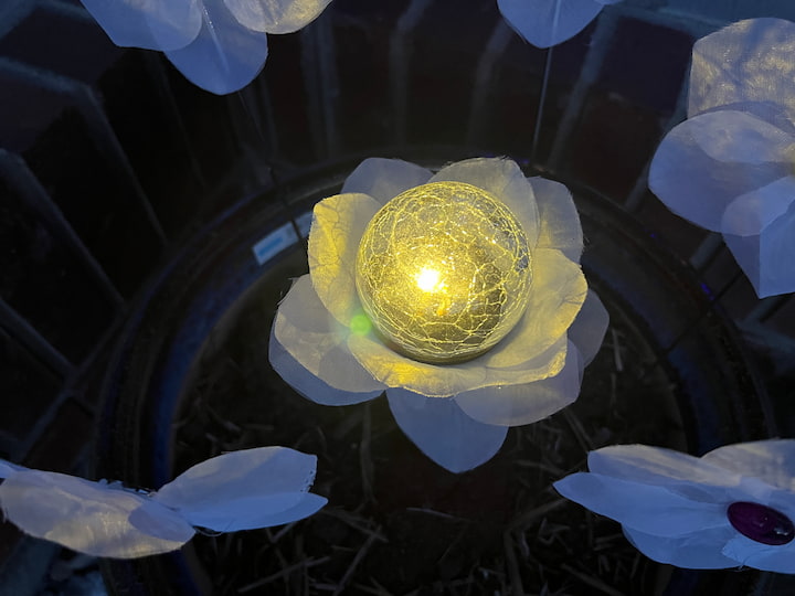 These little solar light flowers are lighting up all of the other flowers creating that lovely glow