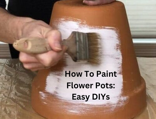 Are you wondering how to paint flower pots? Look no further! I'm having fun painting terracotta flower pots! I'm going to show you how to make and use DIY painted flower pots around your home.