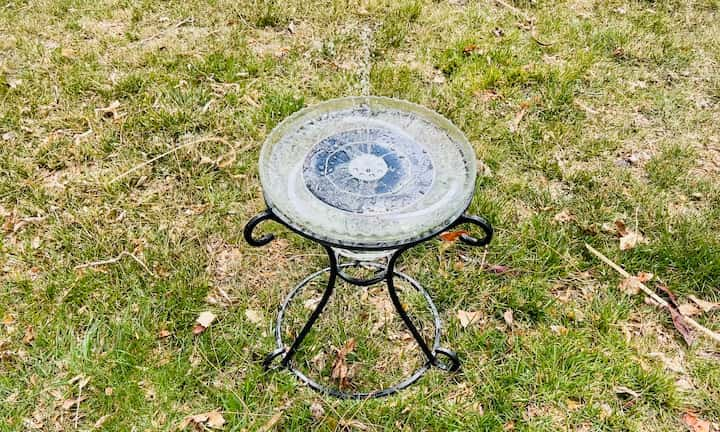 I found this super cool solar fountain online, the little bars help it stay in place.