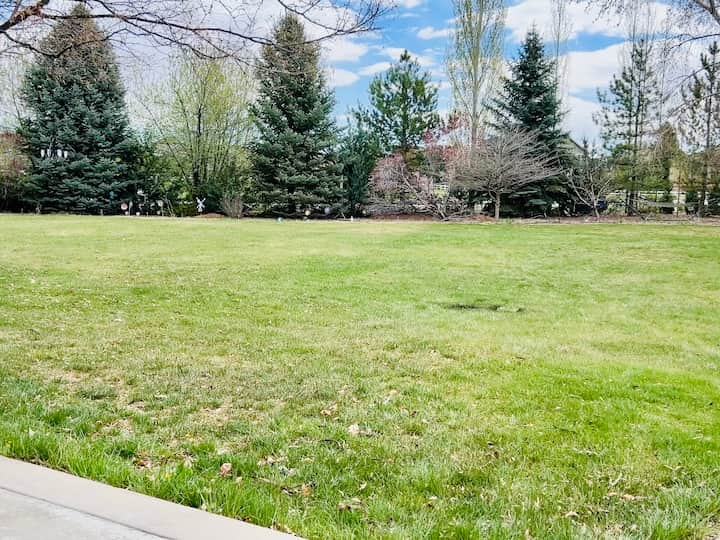 view of complete backyard in summertime