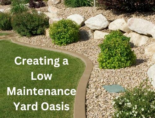 Here are some creative and practical suggestions to inspire your next Low Maintenance Yard project.