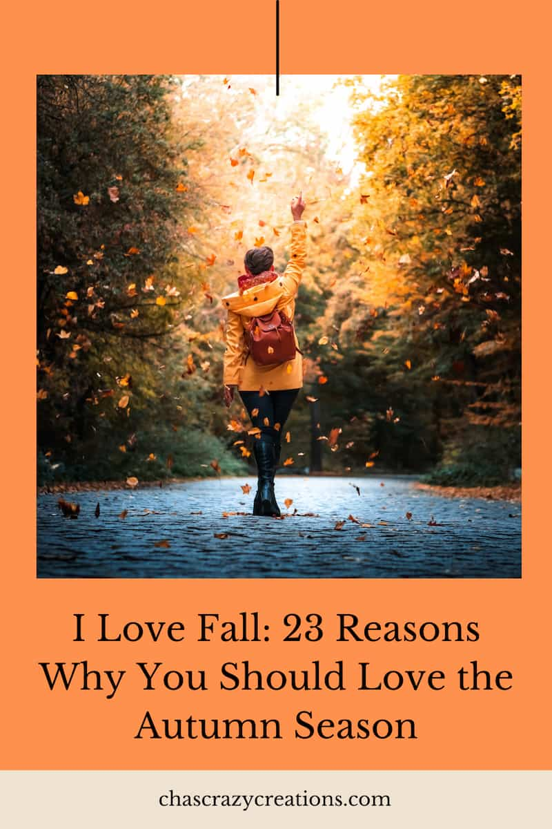 I love fall and so should you! From cozy sweaters to pumpkin crafts, there's so much to love about this season. Here are a few reasons.