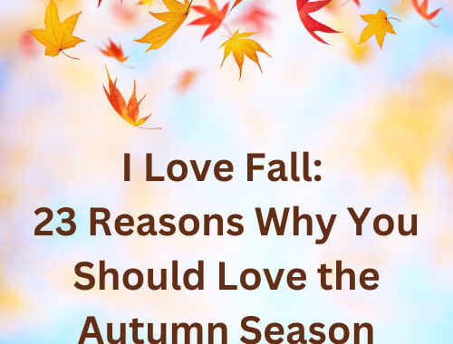 I love fall and so should you! From cozy sweaters to pumpkin crafts, there's so much to love about this season. Here are a few reasons.