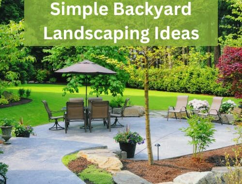 Does your backyard feel more grey than green? Do you feel as though there’s more paving and patio than planting? Don't worry; there are plenty of simple backyard landscaping ideas to bring life and vibrancy to your outdoor space, even if it’s small. Here are some ideas that will work, whatever size of space you have.