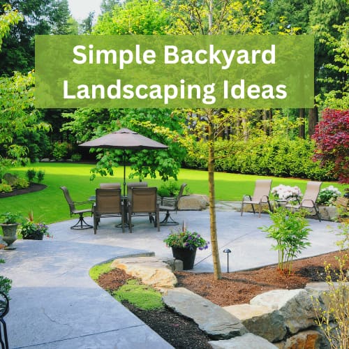 Does your backyard feel more grey than green? Do you feel as though there’s more paving and patio than planting? Don't worry; there are plenty of simple backyard landscaping ideas to bring life and vibrancy to your outdoor space, even if it’s small. Here are some ideas that will work, whatever size of space you have.