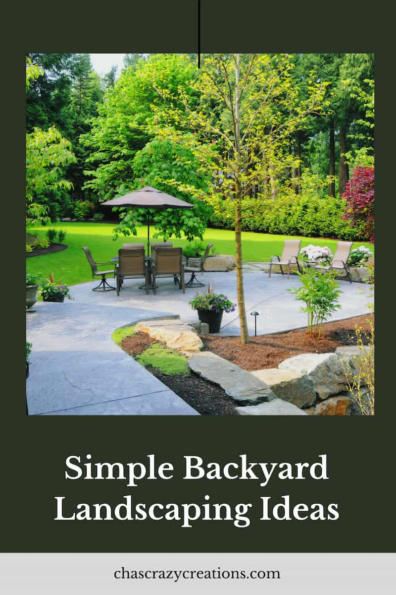 Does your backyard feel more grey than green? Do you feel as though there’s more paving and patio than planting? Don't worry; there are plenty of simple backyard landscaping ideas to bring life and vibrancy to your outdoor space, even if it’s small. Here are some ideas that will work, whatever size of space you have.