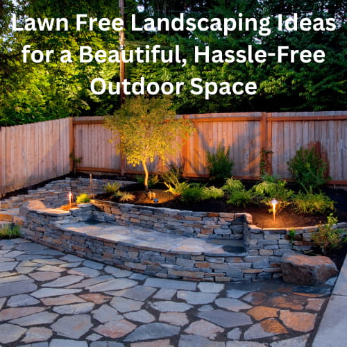 These lawn free landscaping ideas will help you create a stunning, low-maintenance outdoor living space.