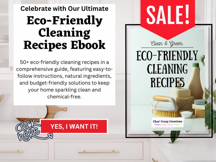 Cleaning Ebook