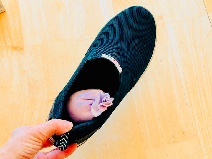 Shoe with sock deodorizer in it