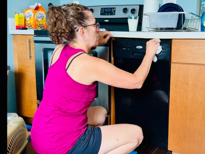 Chas cleaning dishwasher