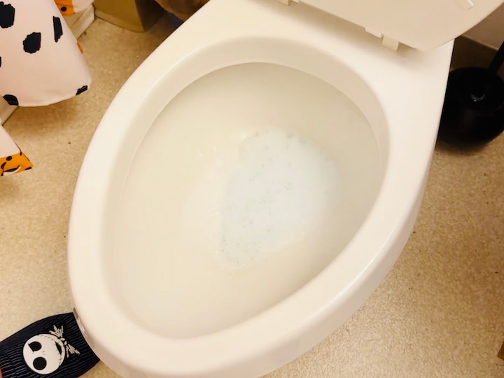 Toilet Scrub: Dawn dish soap + brush

