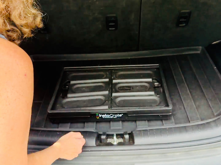 collapsible bin
