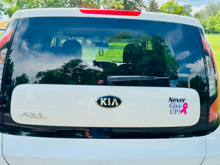 magnet on back of car