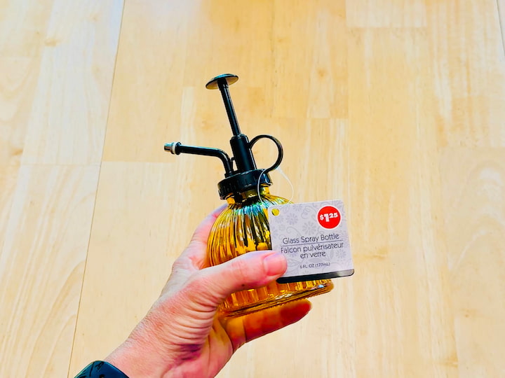 Dollar Tree spray mister
