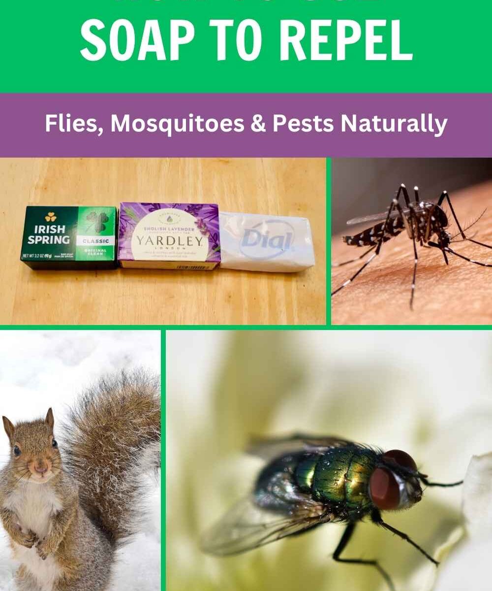 Repel flies, mosquitoes, mice & deer naturally with bar soap! Discover Irish Spring, lavender & Castile soap hacks for your home & garden.
