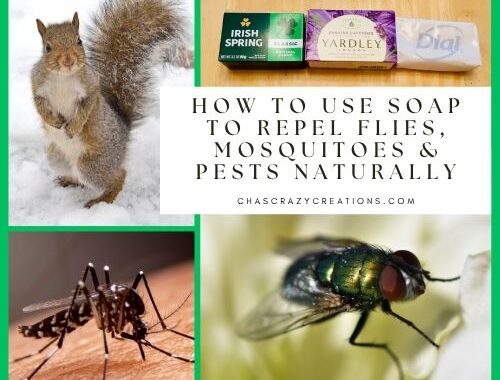 Repel flies, mosquitoes, mice & deer naturally with bar soap! Discover Irish Spring, lavender & Castile soap hacks for your home & garden.