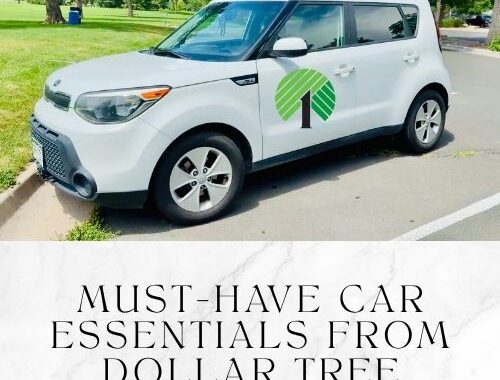 Must-Have Car Essentials from Dollar Tree (Plus a Few Bonus Items!)