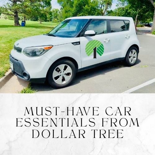 Must-Have Car Essentials from Dollar Tree (Plus a Few Bonus Items!)