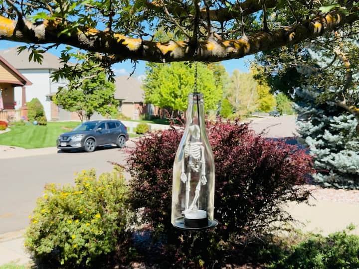 Skeleton in bottle during day