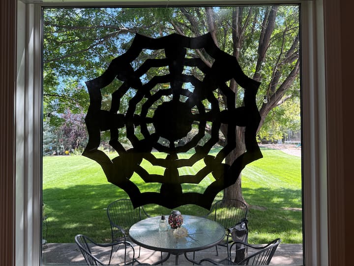 cobweb during the day