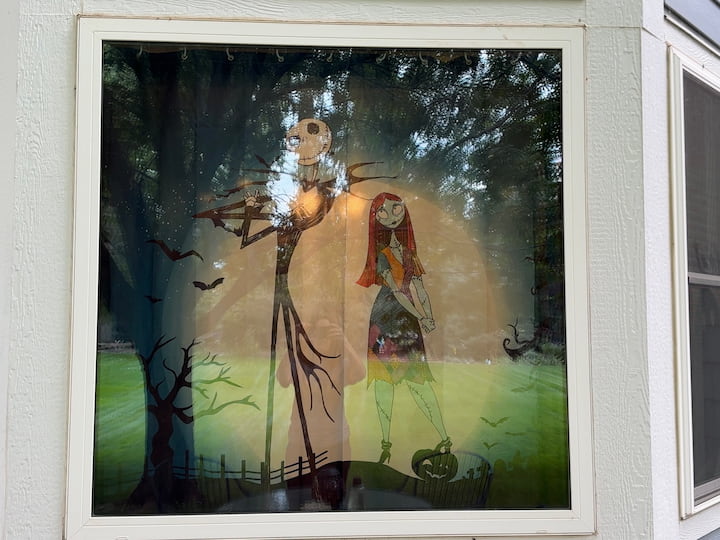 shower curtain in the window during the day
