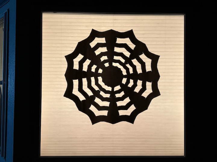 cobweb during the evening
