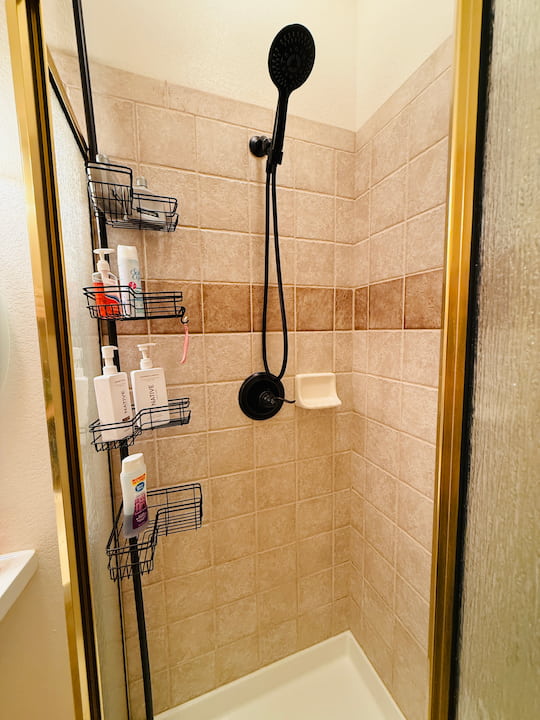 Shower organizer in shower