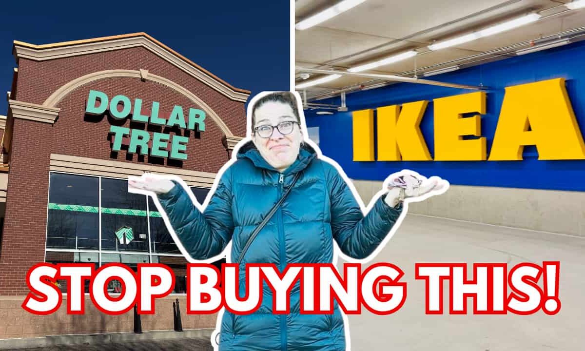 Dollar Tree and Ikea, with chas in front of picture and text saying stop buying this