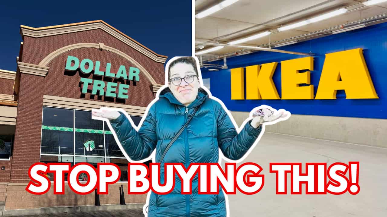 Dollar Tree and Ikea, with chas in front of picture and text saying stop buying this