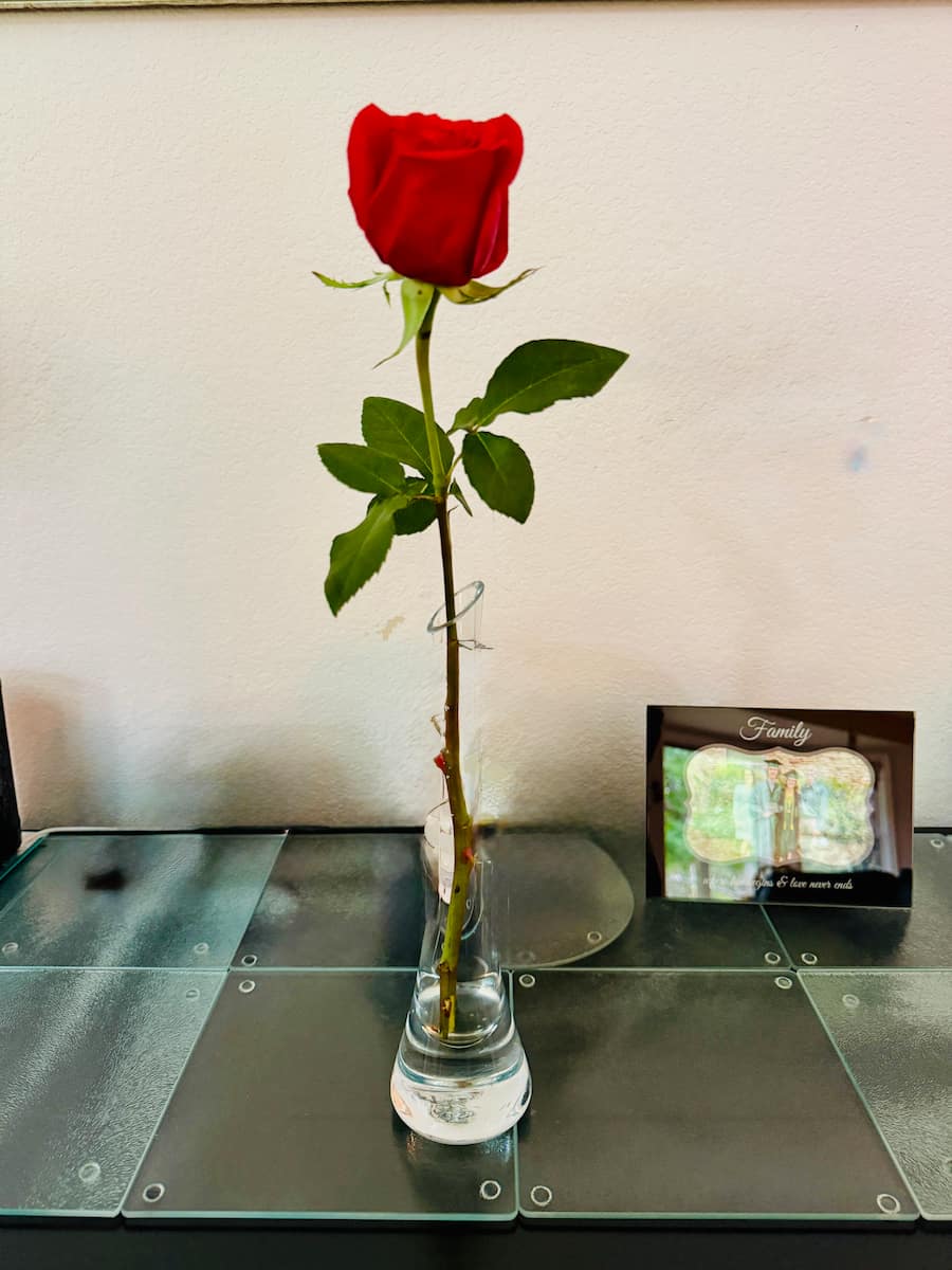 ANNIVERSARY ROSE
